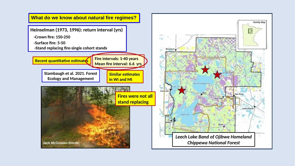 Fire Reintroduction in a Long Fire Excluded Red - slide 3 of 10