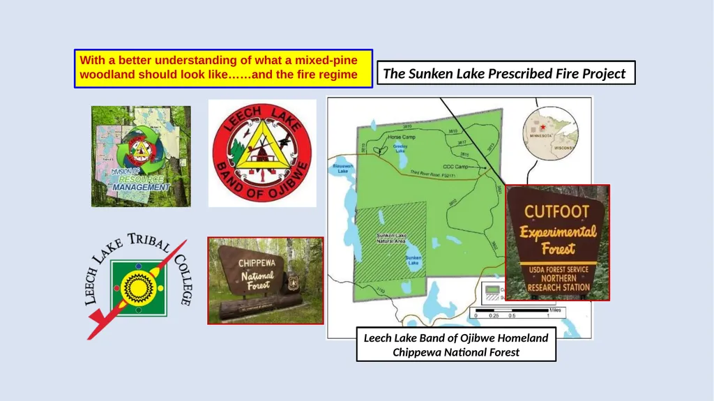 Fire Reintroduction in a Long Fire Excluded Red - slide 6 of 10
