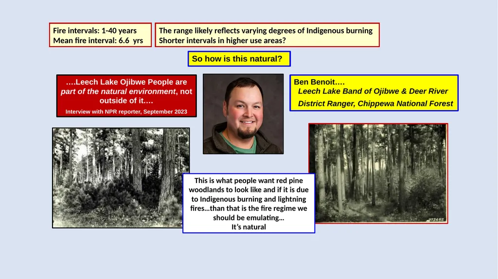 Fire Reintroduction in a Long Fire Excluded Red - slide 5 of 10