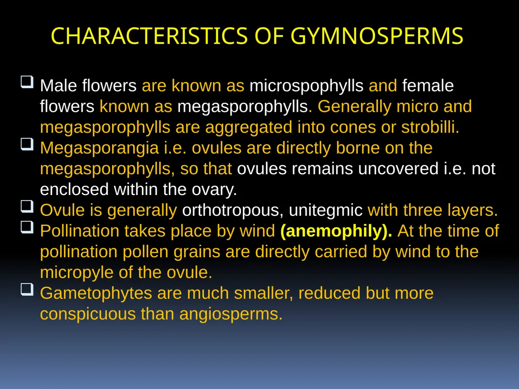 GYMNOSPERM: AN INTRODUCTION By PRATIVA DEKA - slide 4 of 6
