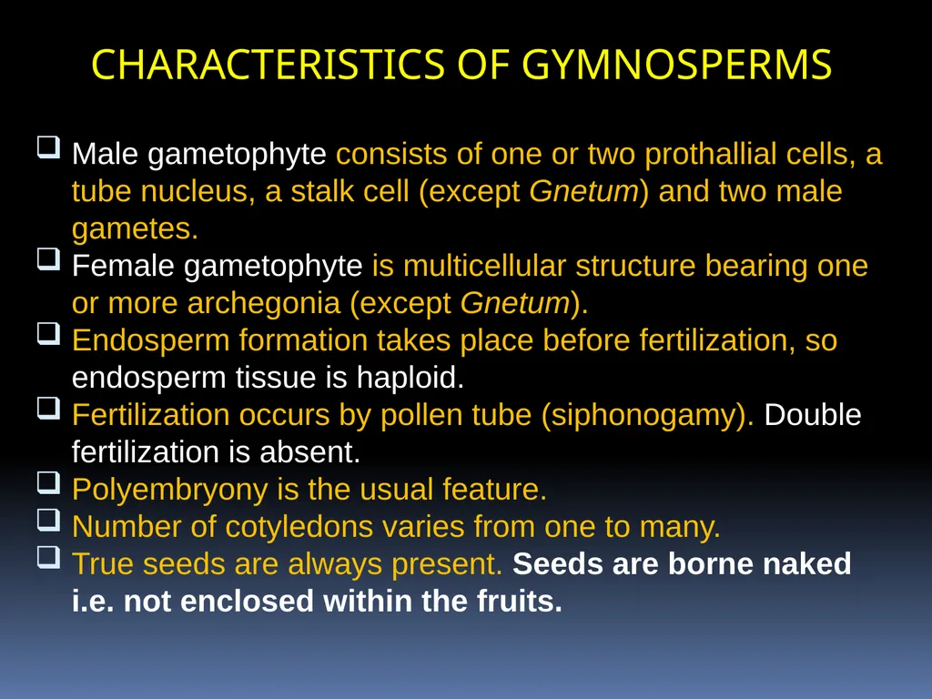 GYMNOSPERM: AN INTRODUCTION By PRATIVA DEKA - slide 5 of 6