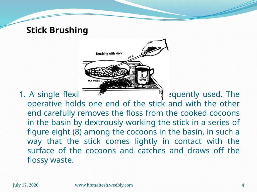 Cocoon Brushing Dr. Mahesha H B Associate - slide 4 of 10
