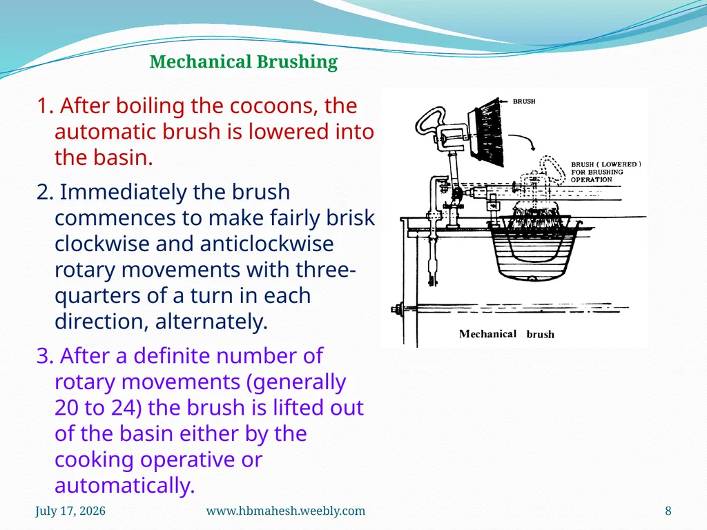 Cocoon Brushing Dr. Mahesha H B Associate - slide 8 of 10