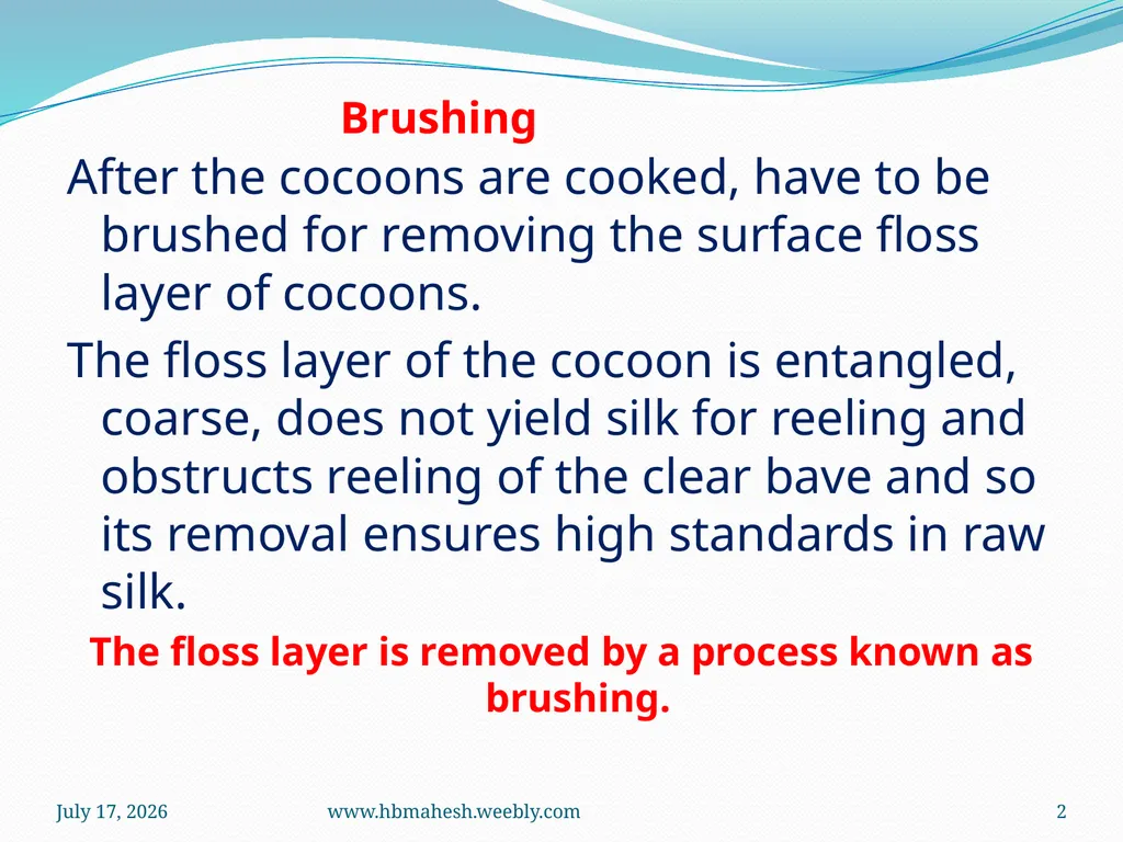 Cocoon Brushing Dr. Mahesha H B Associate - slide 2 of 10
