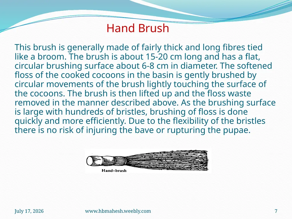 Cocoon Brushing Dr. Mahesha H B Associate - slide 7 of 10