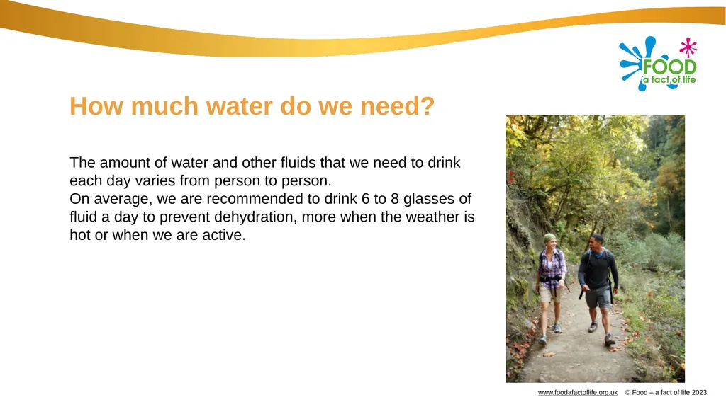 Hydration Water Our body is nearly two-thirds - slide 7 of 10