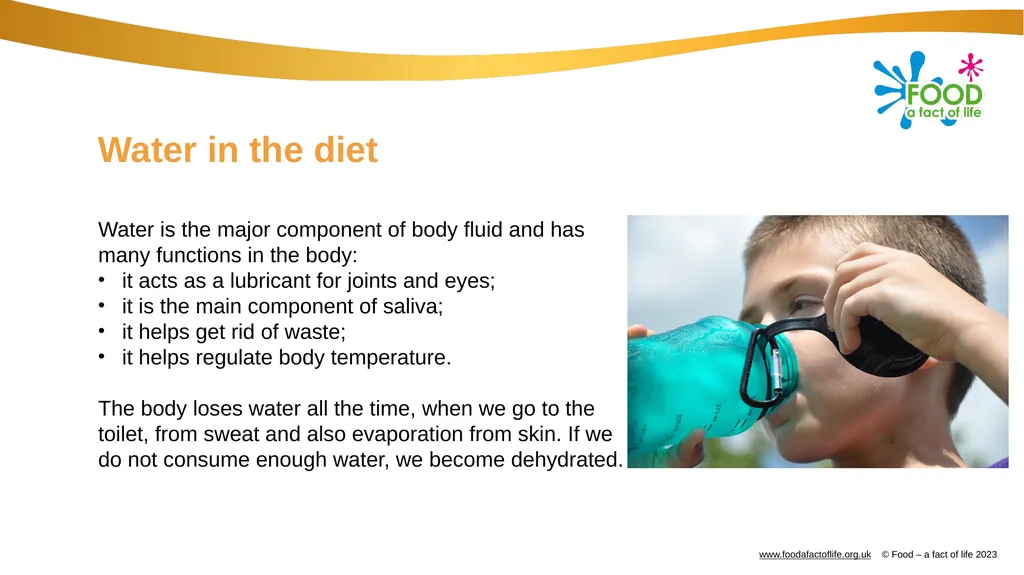 Hydration Water Our body is nearly two-thirds - slide 3 of 10