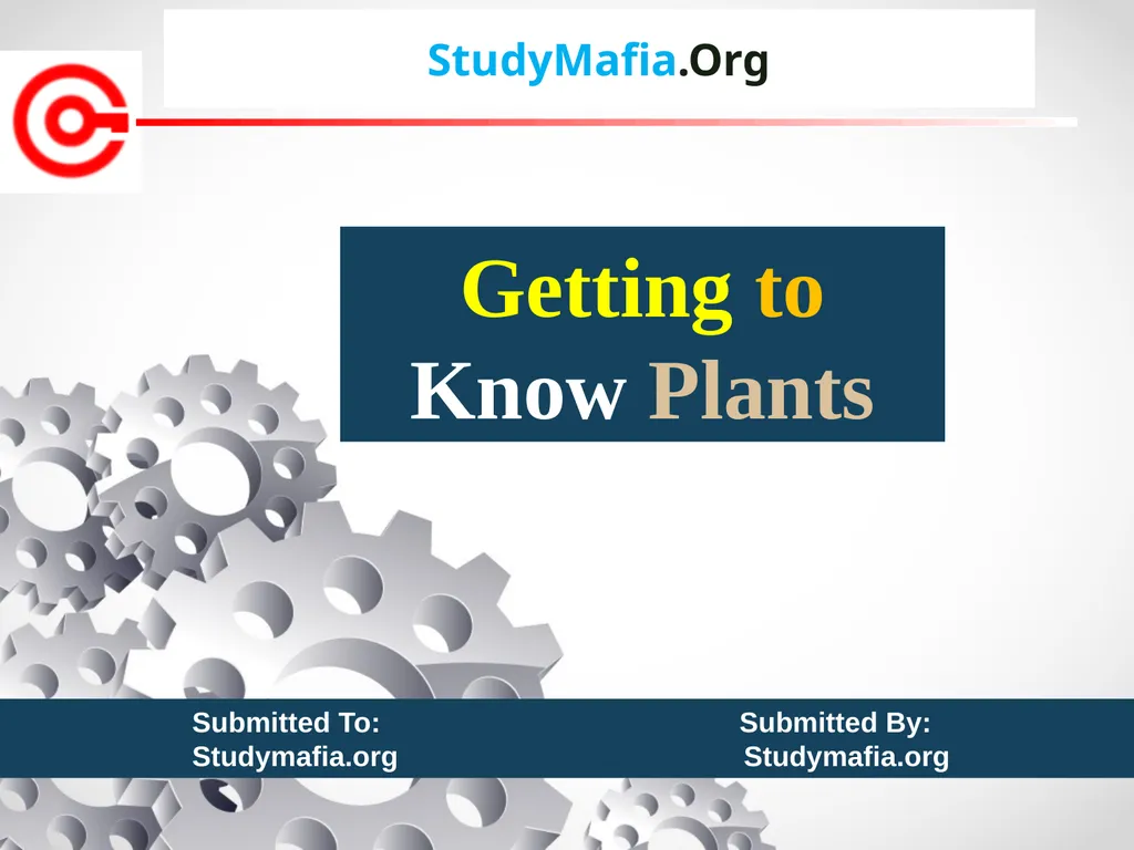 StudyMafia.Org Submitted To: Submitted By: