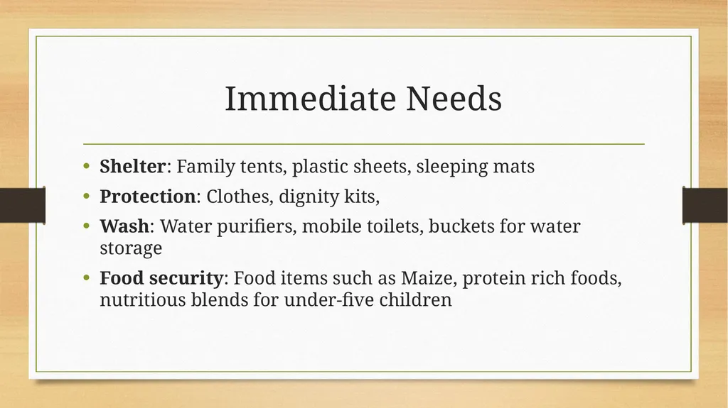 Situational Update Cyclone Freddy Response Caritas - slide 8 of 8