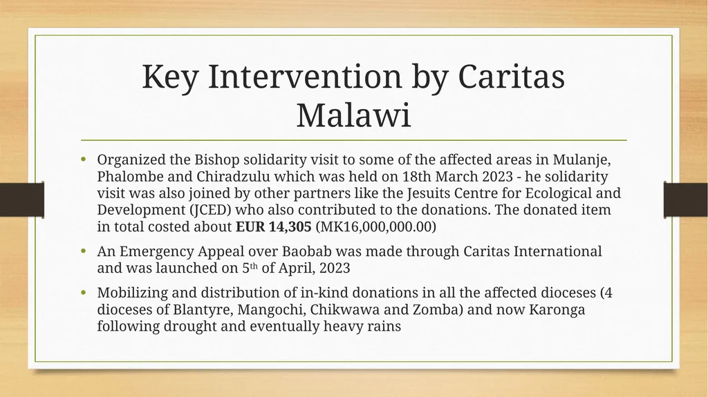 Situational Update Cyclone Freddy Response Caritas - slide 4 of 8