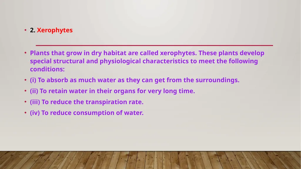 Adaptations- xerophytes Dr.a.Maajitha begam - slide 2 of 8