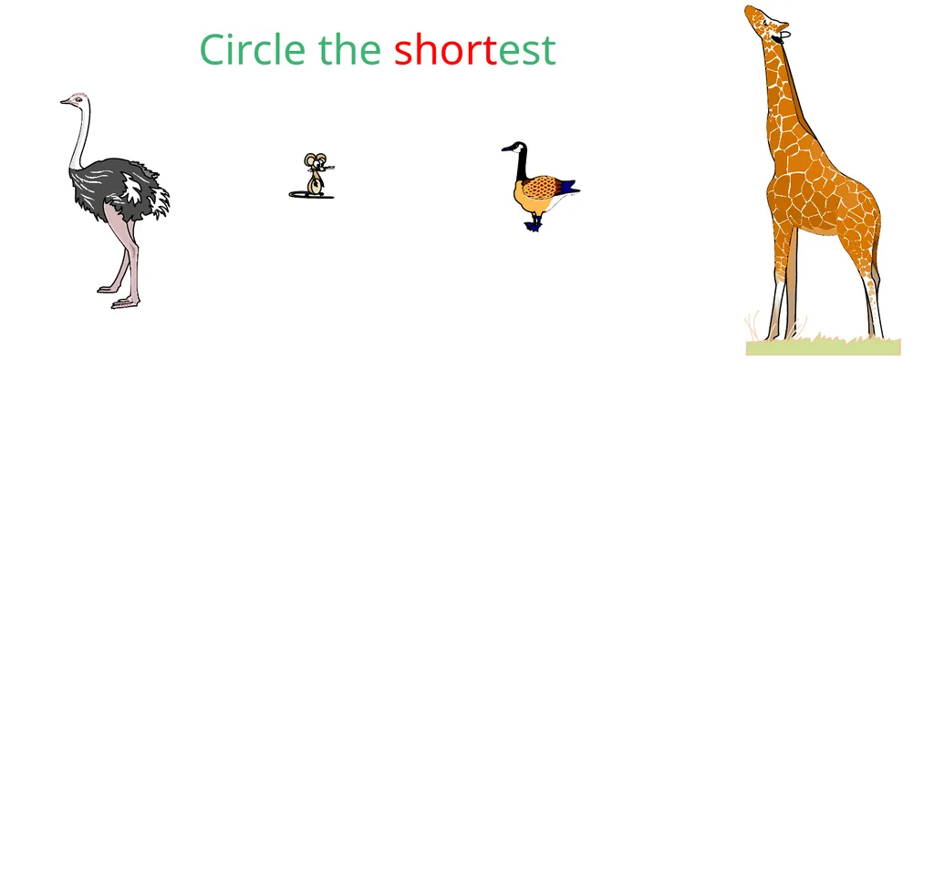measure tall short tall short tall house short - slide 11 of 15