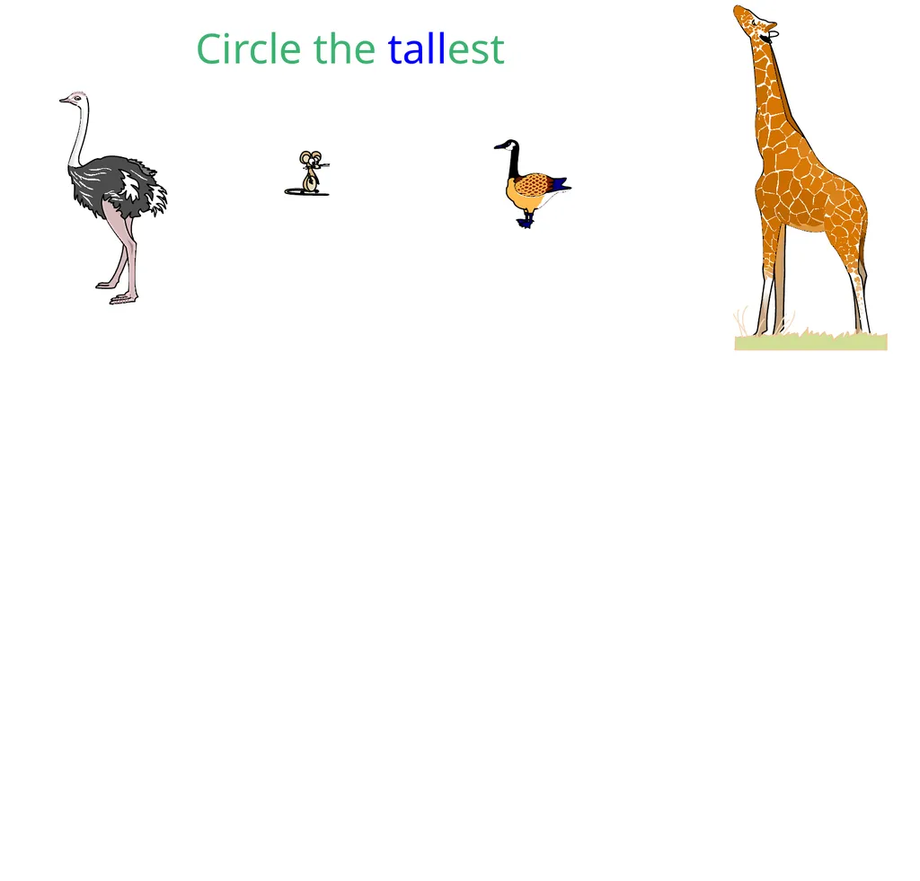 measure tall short tall short tall house short - slide 10 of 15