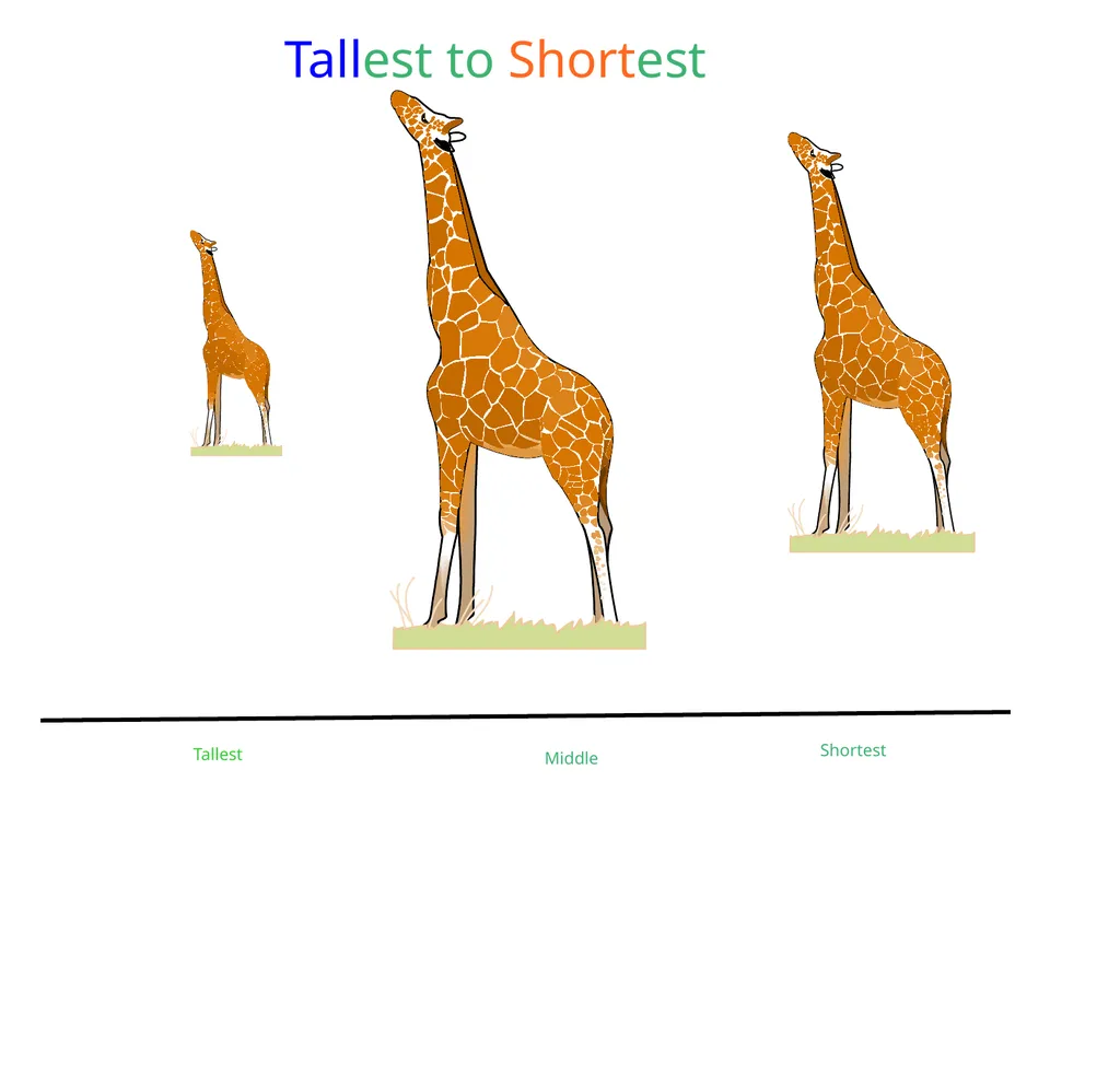 measure tall short tall short tall house short - slide 15 of 15