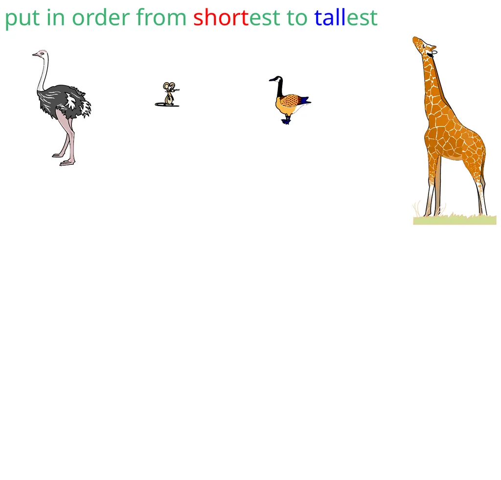 measure tall short tall short tall house short - slide 14 of 15