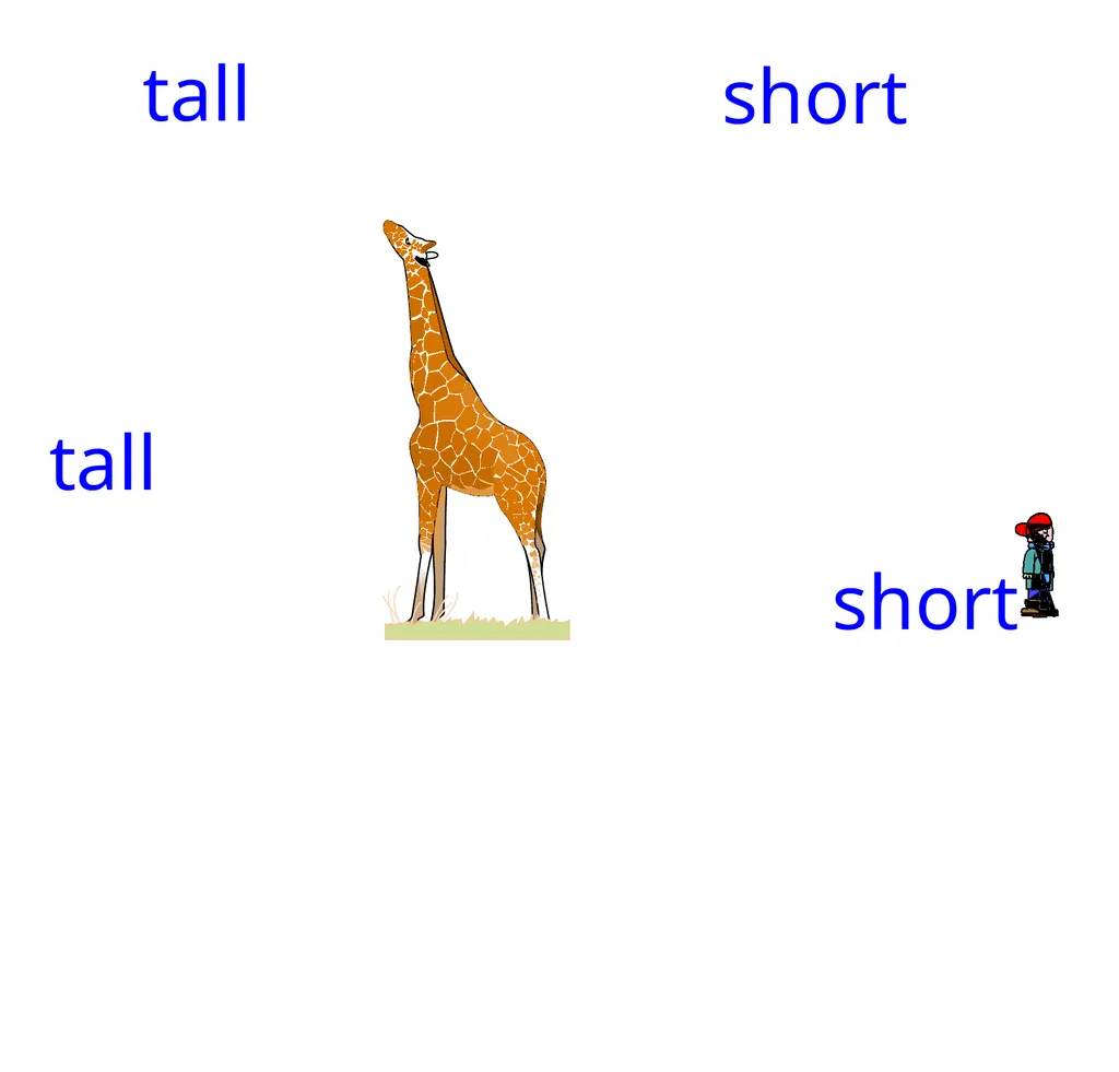 measure tall short tall short tall house short - slide 2 of 15