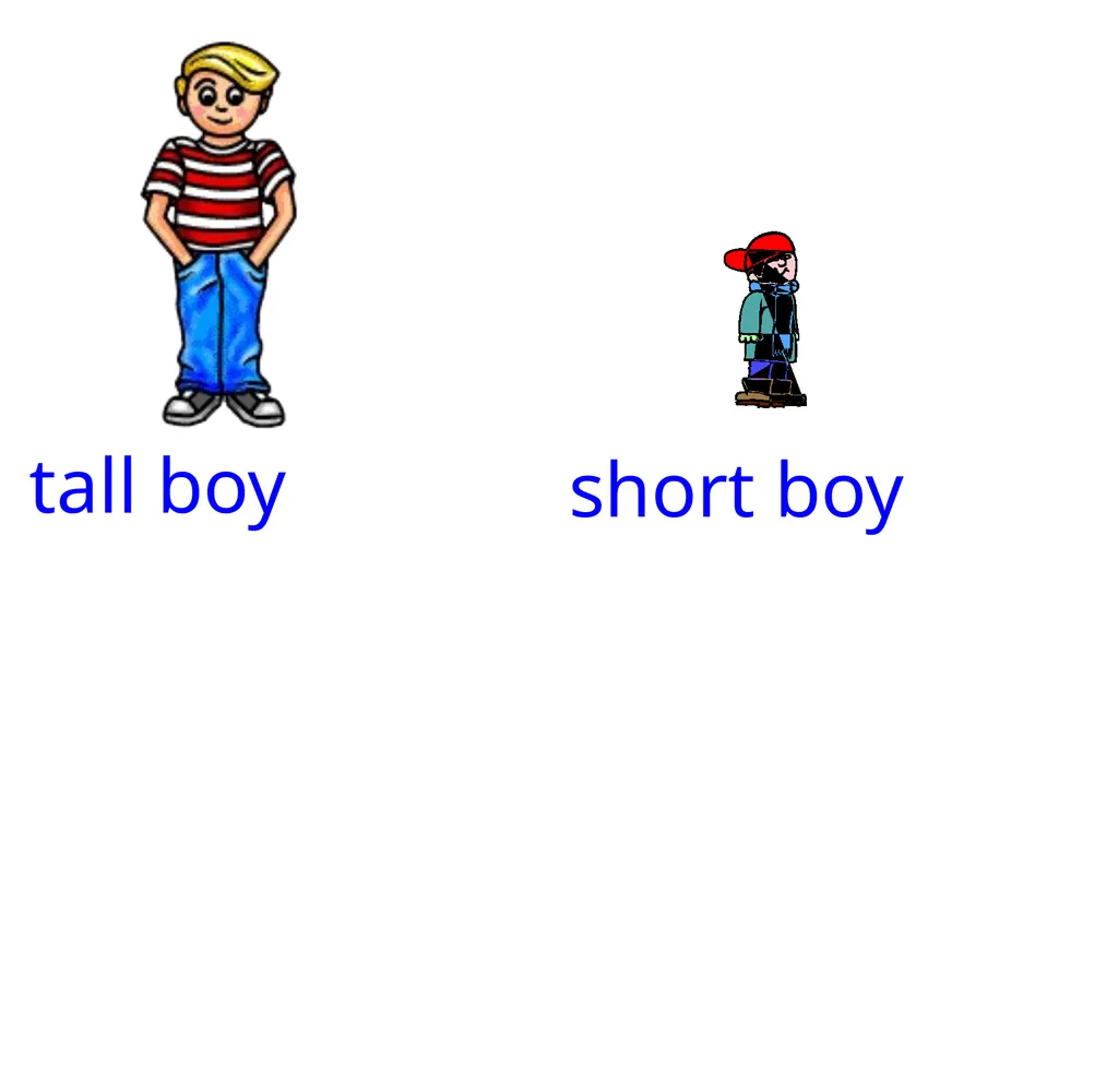 measure tall short tall short tall house short - slide 4 of 15