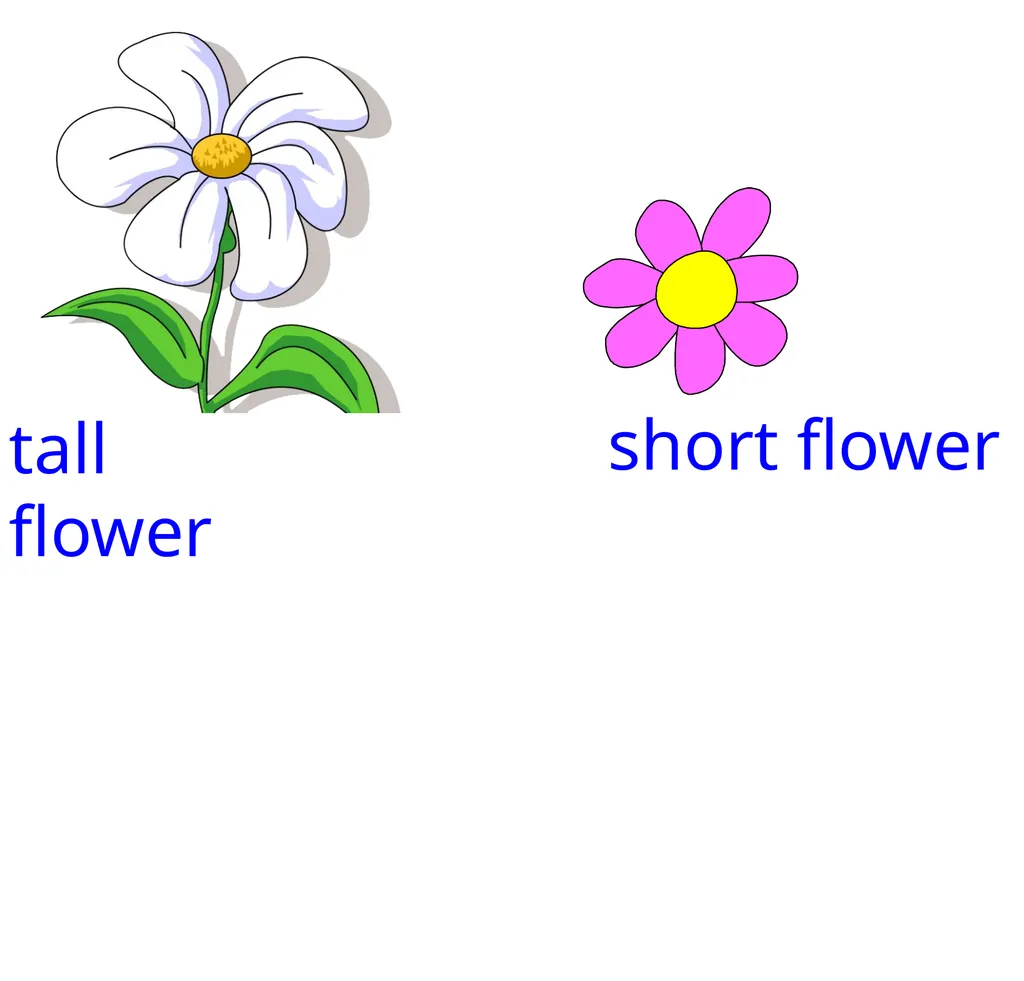 measure tall short tall short tall house short - slide 5 of 15