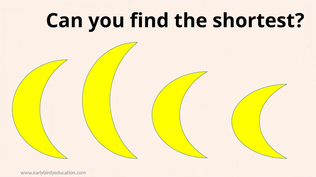 www.earlybirdyeducation.com Tall and short- - slide 4 of 8