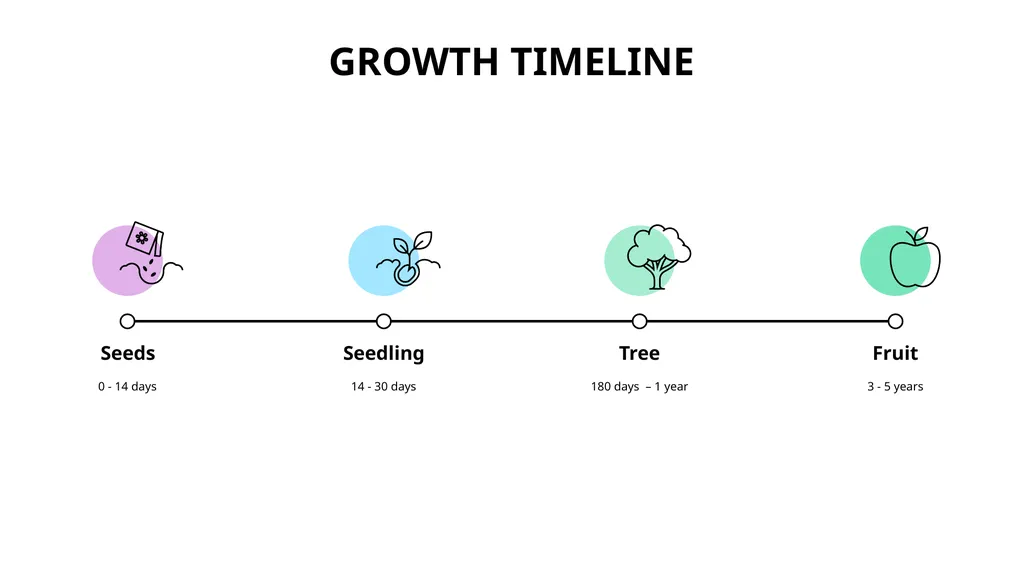 Growth Timeline Seeds 0 - 14 days Seedling 14 - - slide 1 of 3