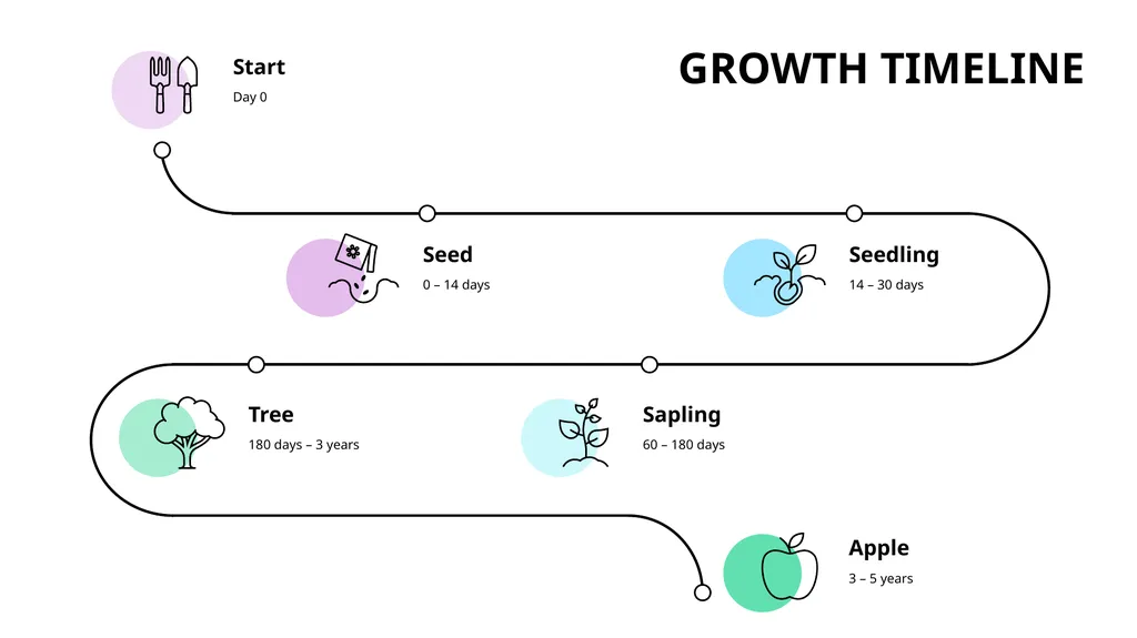 Growth Timeline Seeds 0 - 14 days Seedling 14 - - slide 2 of 3