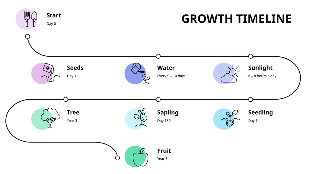 Growth Timeline Seeds 0 - 14 days Seedling 14 - - slide 3 of 3