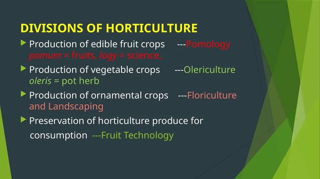 HORTICULTURE What is Horticulture ? Horticulture - slide 8 of 30