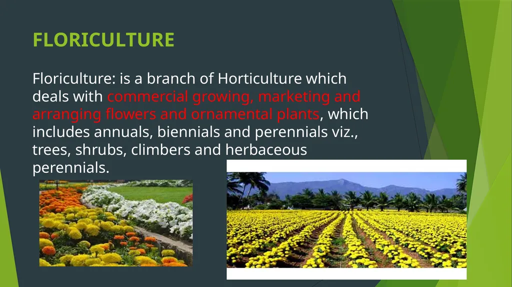 HORTICULTURE What is Horticulture ? Horticulture - slide 11 of 30