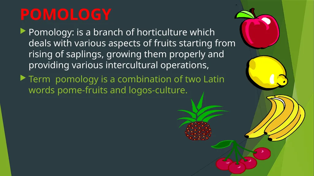 HORTICULTURE What is Horticulture ? Horticulture - slide 9 of 30