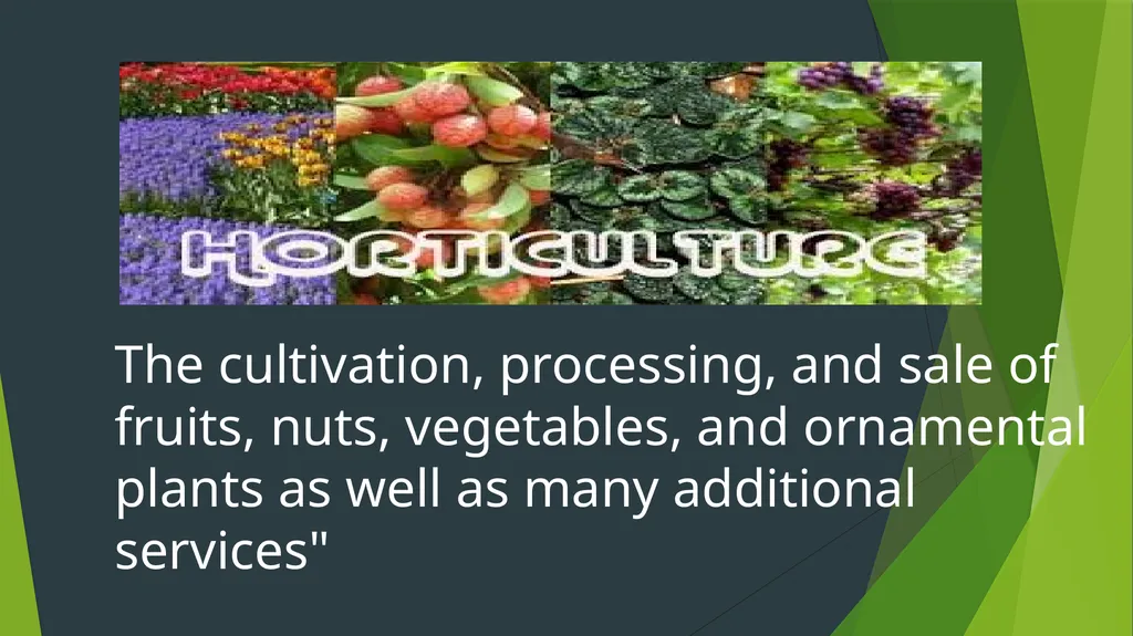 HORTICULTURE What is Horticulture ? Horticulture - slide 3 of 30
