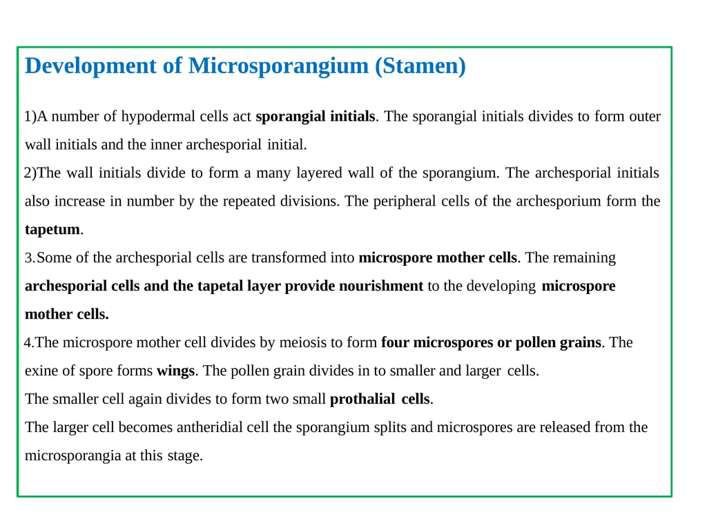 PINUS Introduction: Gymnosperms like all vascular - slide 10 of 16