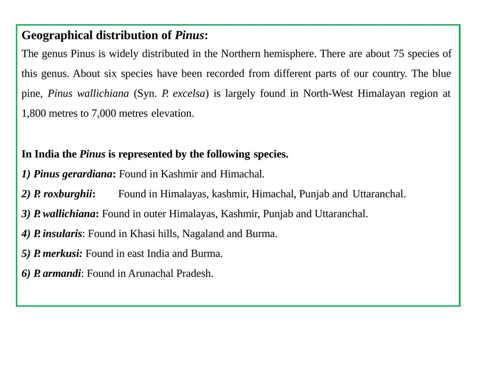 PINUS Introduction: Gymnosperms like all vascular - slide 3 of 16