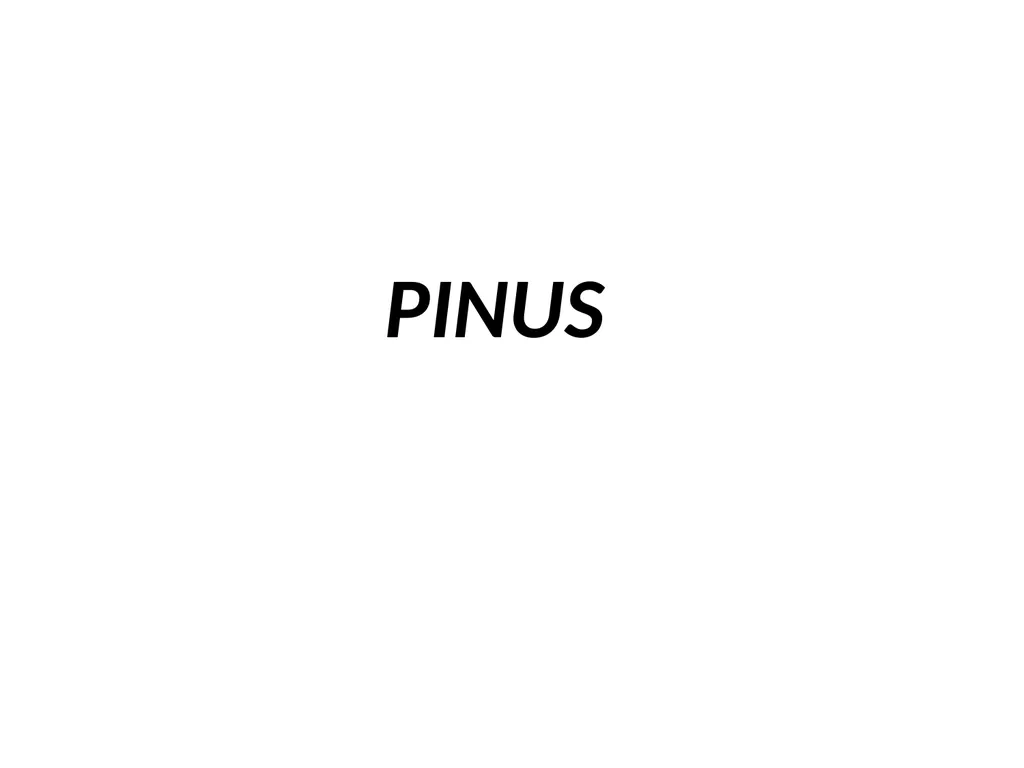 PINUS Introduction: Gymnosperms like all vascular - slide 1 of 16