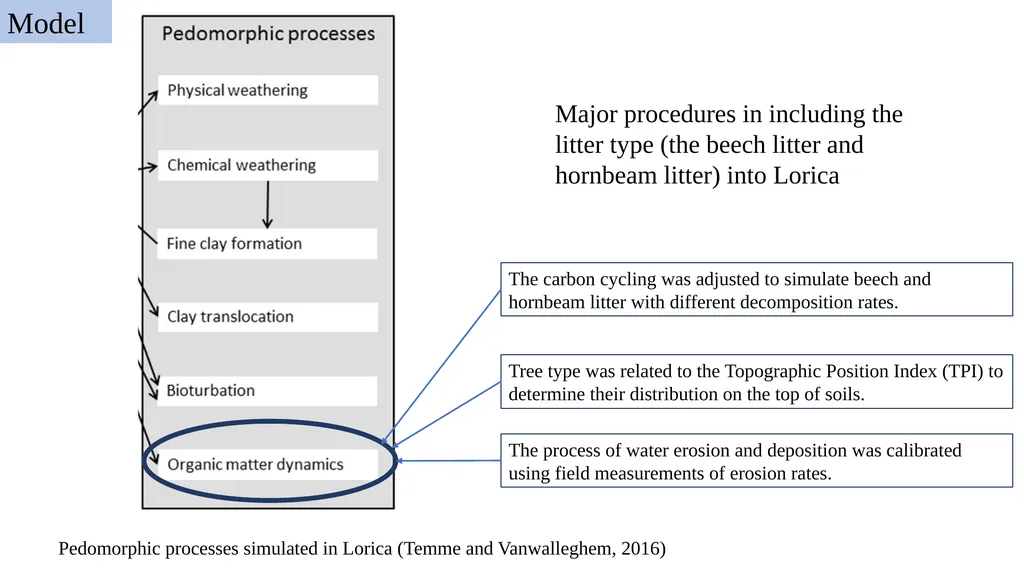 Can litter quality explain landscape evolution: - slide 4 of 6