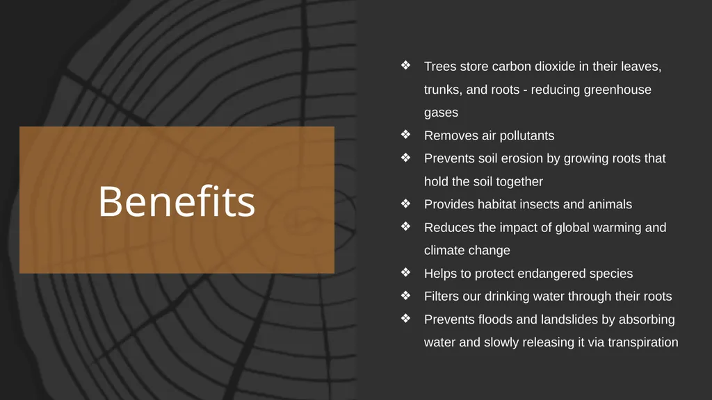 Reforestation the process, impact, & benefits - slide 5 of 7