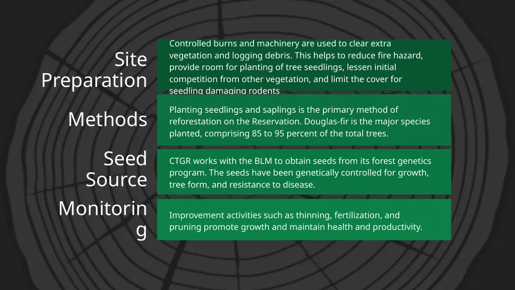 Reforestation the process, impact, & benefits - slide 7 of 7