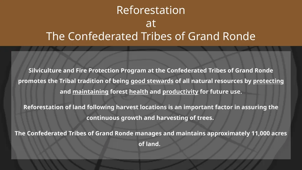 Reforestation the process, impact, & benefits - slide 6 of 7