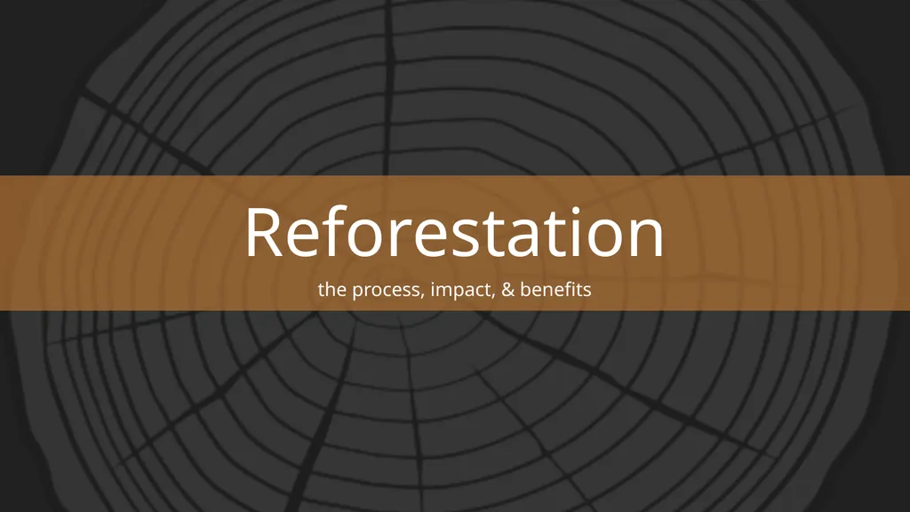 Reforestation the process, impact, & benefits - slide 1 of 7