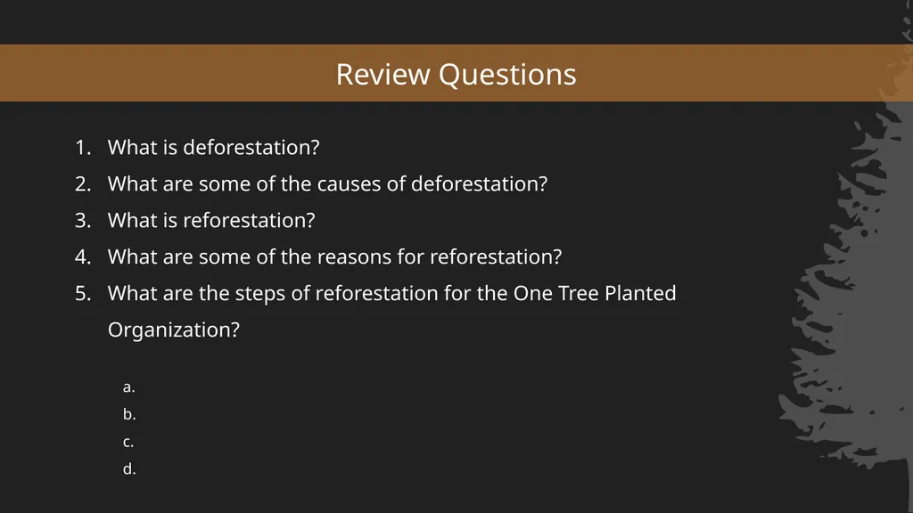 Reforestation the process, impact, & benefits - slide 3 of 7