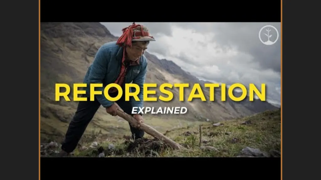 Reforestation the process, impact, & benefits - slide 2 of 7