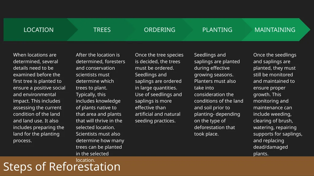 Reforestation the process, impact, & benefits - slide 4 of 7