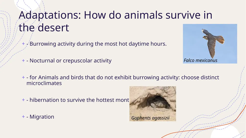 Zoogeography Lesson 3 Def. a large naturally - slide 11 of 14