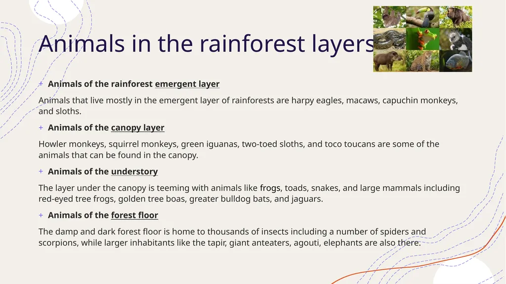 Zoogeography Lesson 3 Def. a large naturally - slide 4 of 14