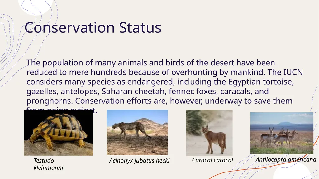 Zoogeography Lesson 3 Def. a large naturally - slide 14 of 14