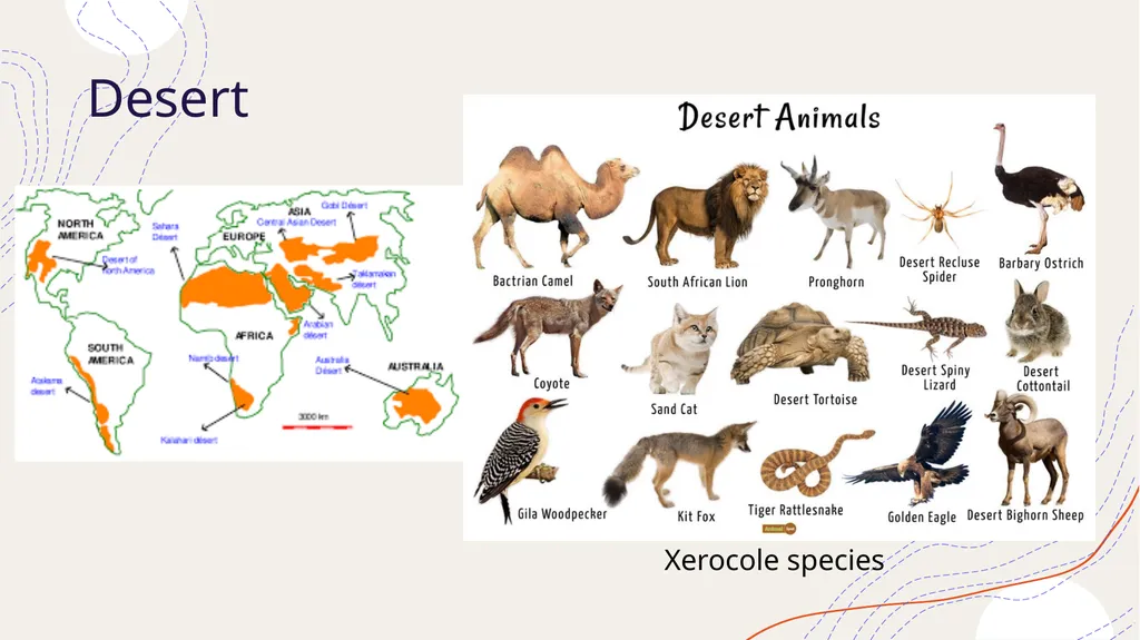 Zoogeography Lesson 3 Def. a large naturally - slide 10 of 14