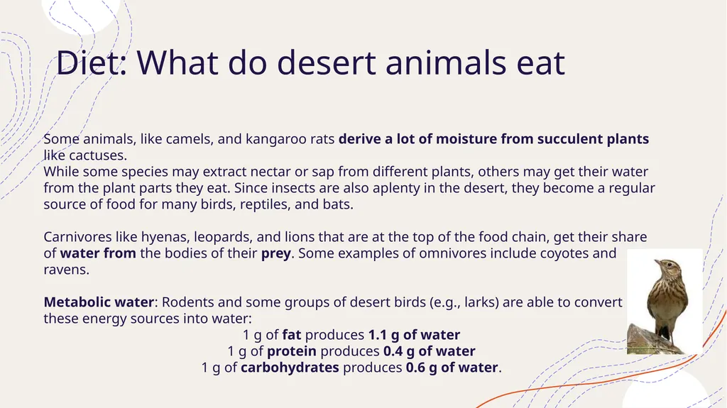 Zoogeography Lesson 3 Def. a large naturally - slide 13 of 14