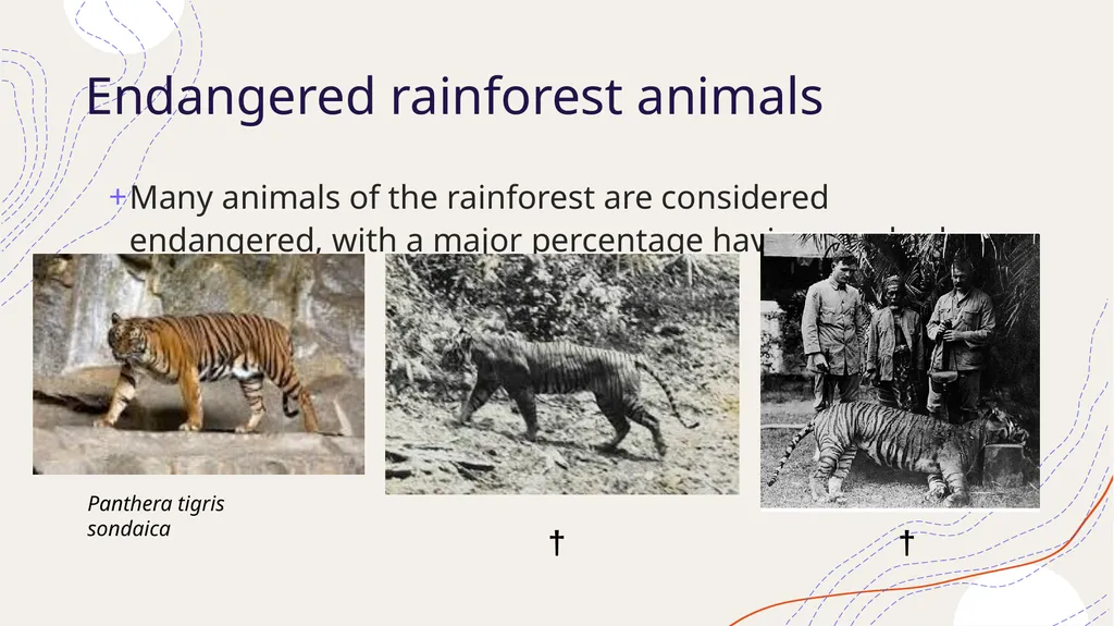 Zoogeography Lesson 3 Def. a large naturally - slide 7 of 14