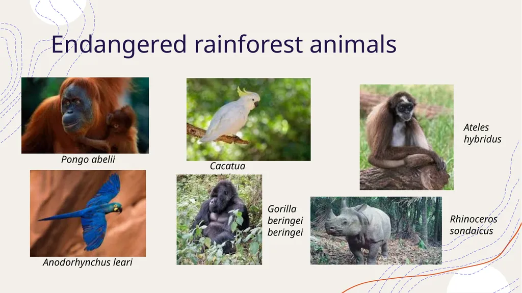 Zoogeography Lesson 3 Def. a large naturally - slide 8 of 14