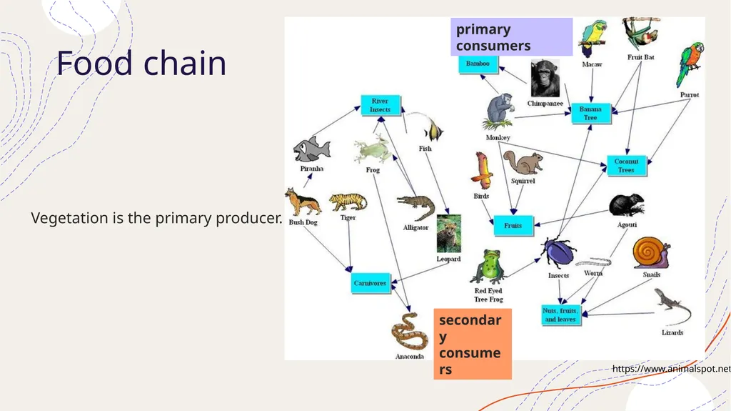 Zoogeography Lesson 3 Def. a large naturally - slide 6 of 14