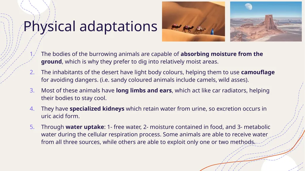 Zoogeography Lesson 3 Def. a large naturally - slide 12 of 14